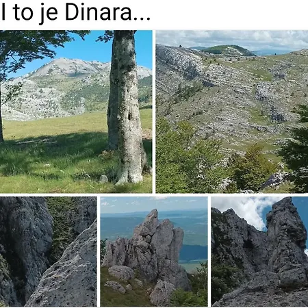 Goga * Drniš