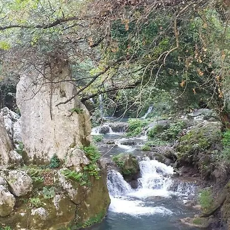 Goga Drniš